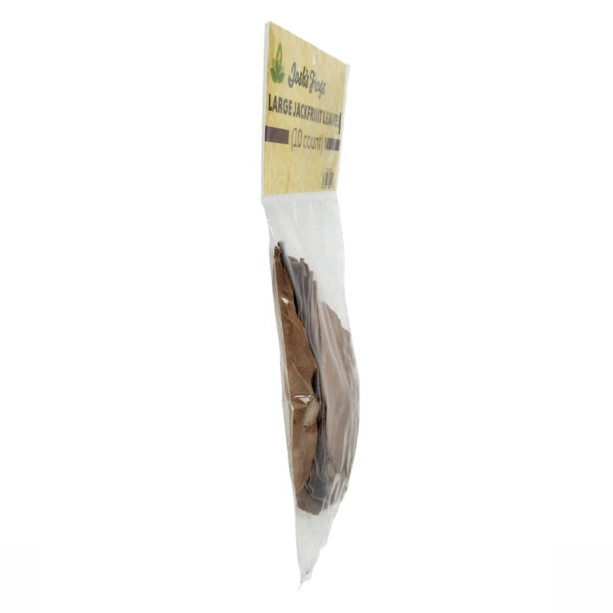 Josh's Frogs Large Jackfruit Leaf Litter (10 leaves)
