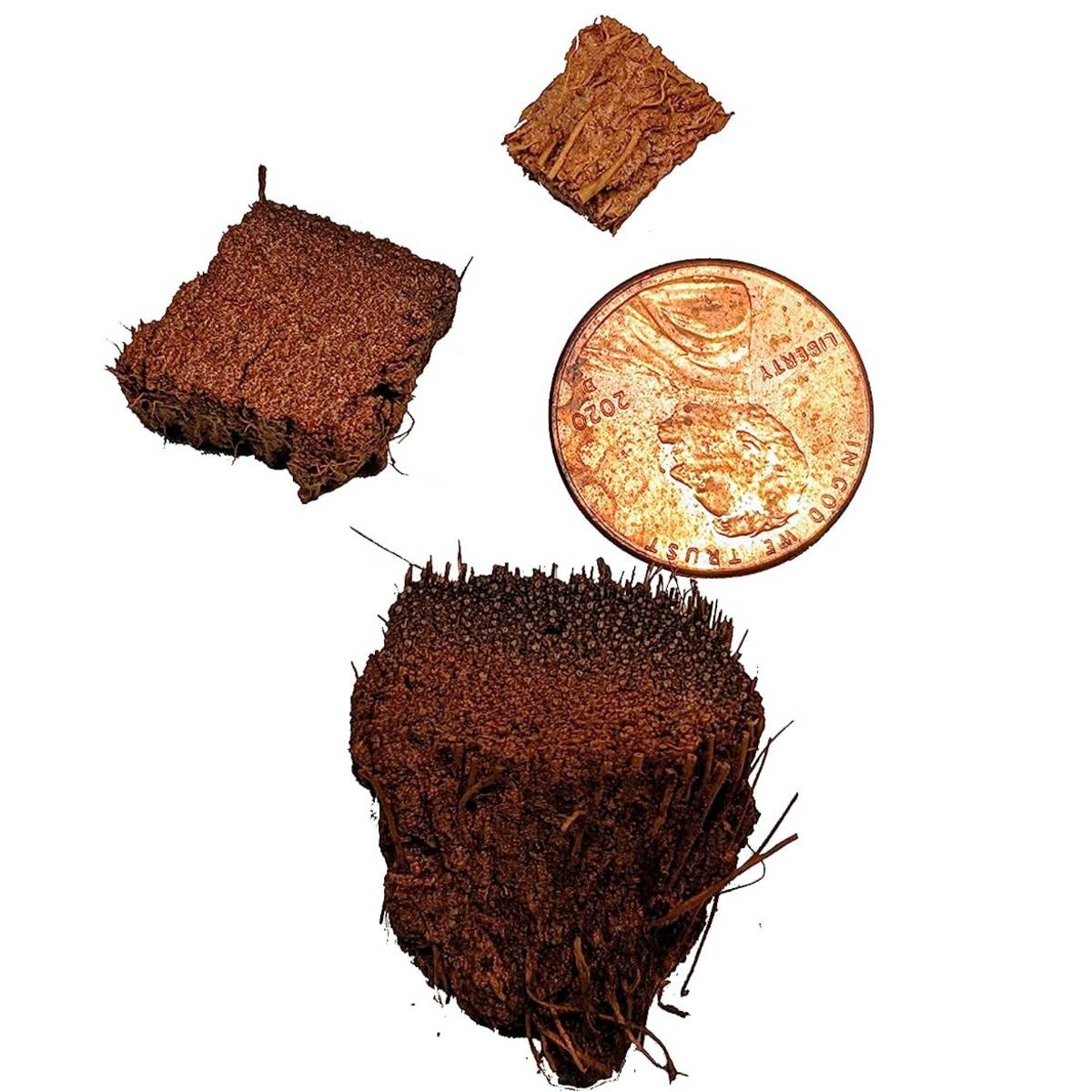 Josh's Frogs Loose Coco Husk Chips (10 Liters)