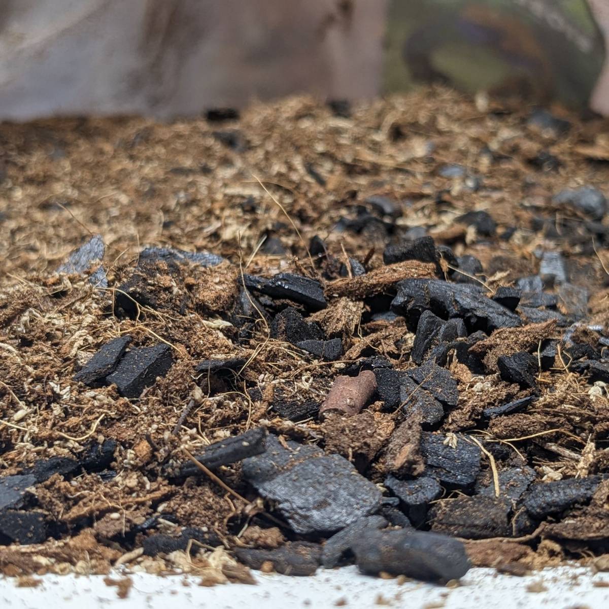 Josh's Frogs BioBedding TROPICAL Bioactive Substrate (4 quarts)