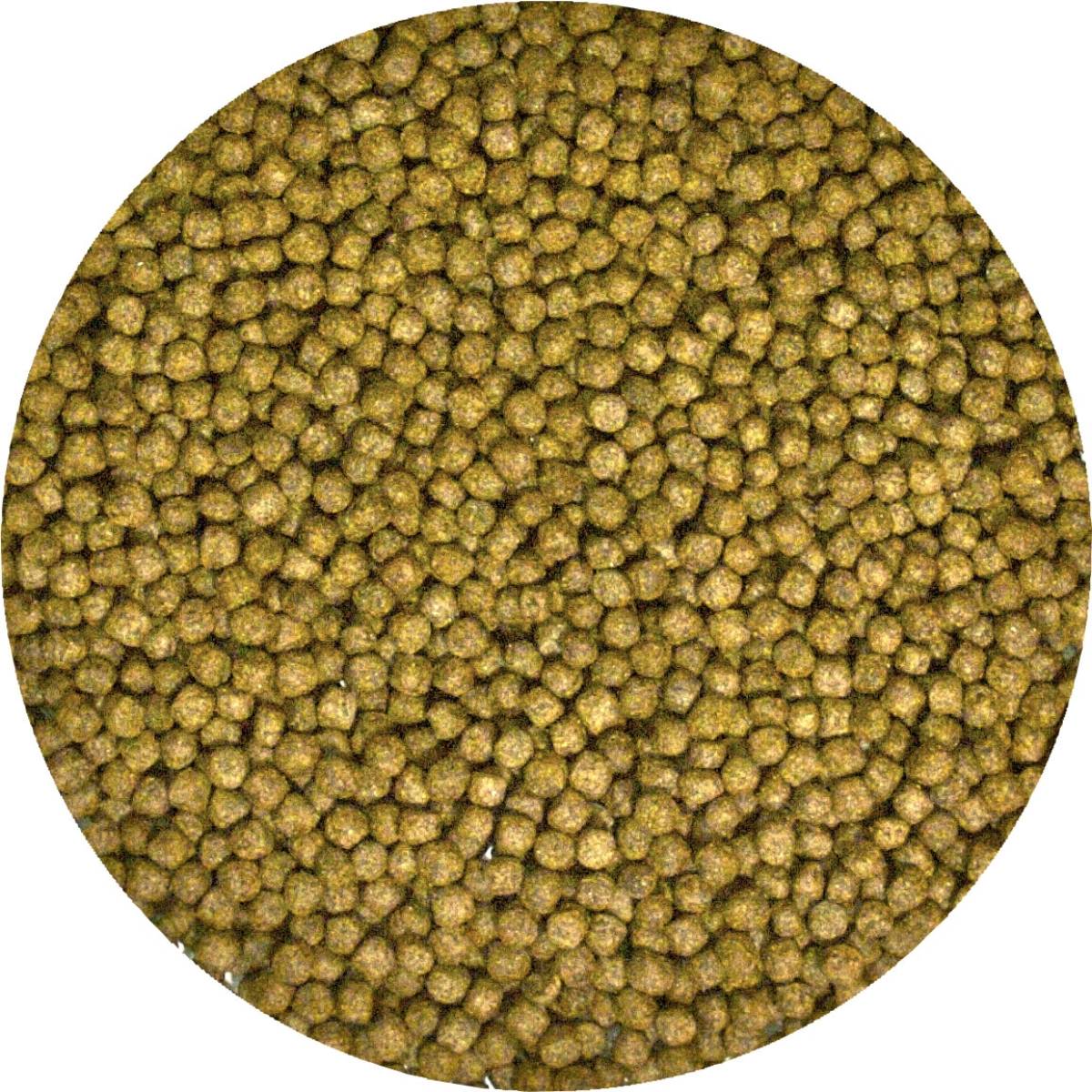 Zoo Med Natural Aquatic Turtle Food (1.85 oz - Growth Formula)