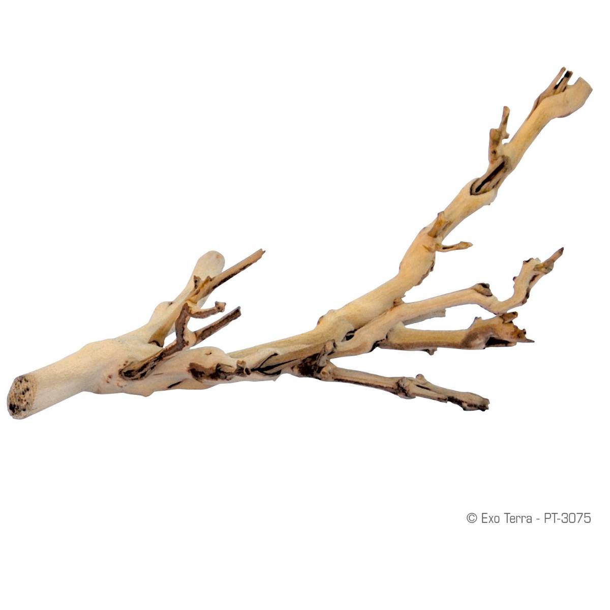 Exo Terra Forest Branch - Sandblasted Grapevine (Small)