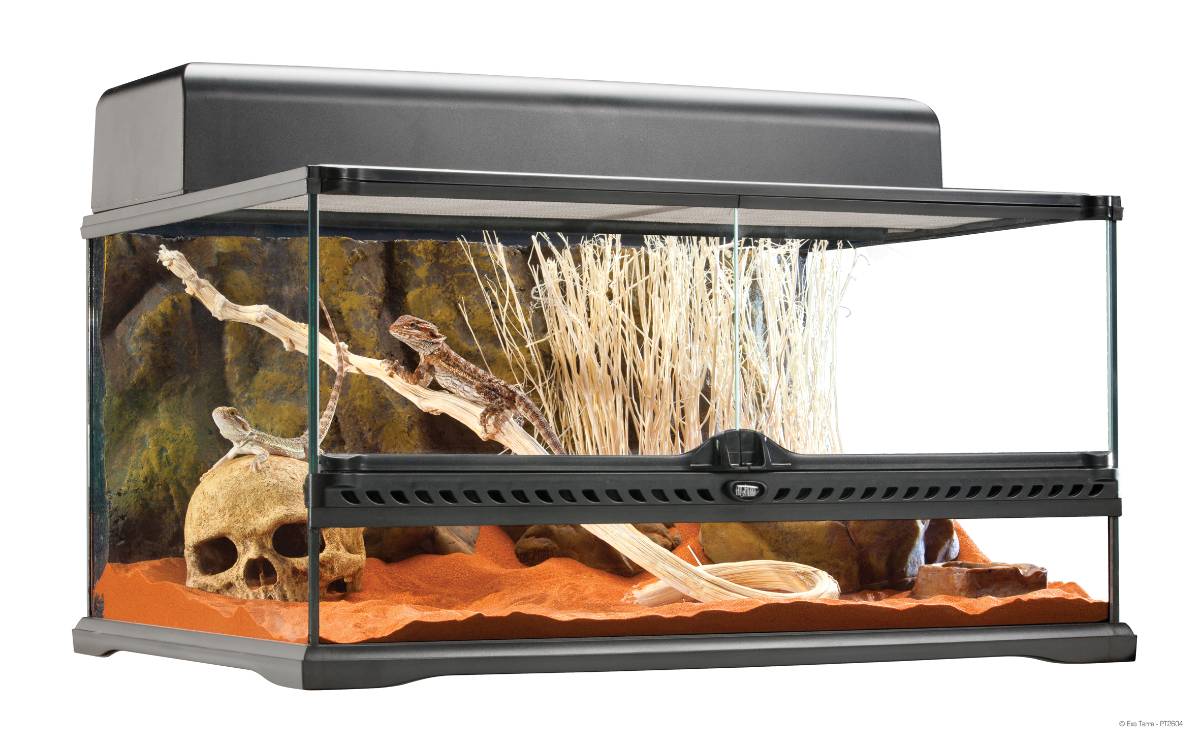 Exo Terra Glass Terrarium (24x18x12)