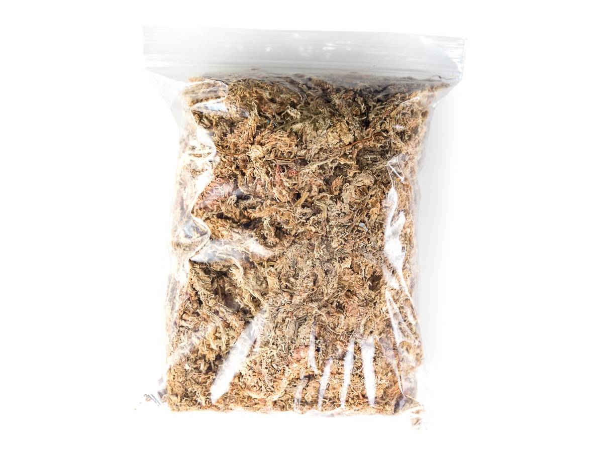 Josh's Frogs Chilean Sphagnum Moss (100 g bag)