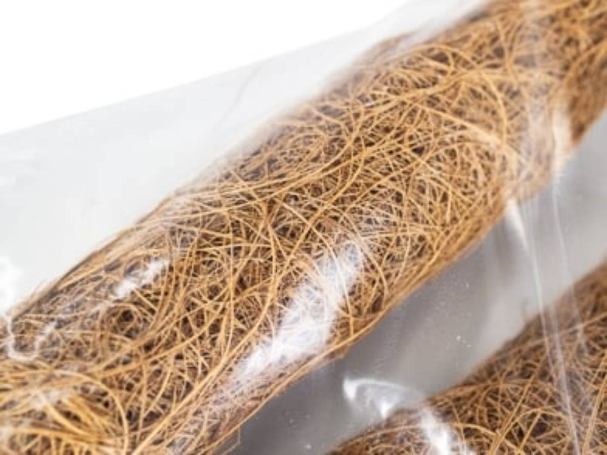 Josh's Frogs Natural Coco Tree Branch (Large)
