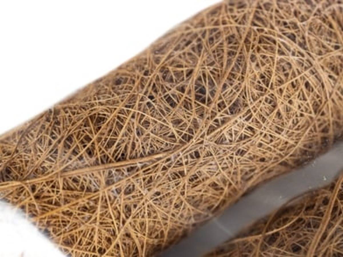 Josh's Frogs Natural Coco Tree Branch (Large)