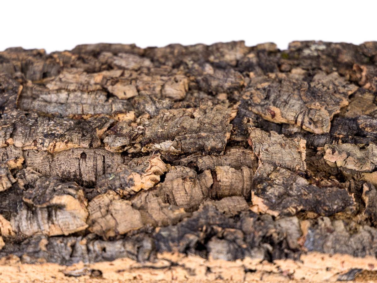 Josh's Frogs Natural Virgin Cork Sheet (12x18 inch)