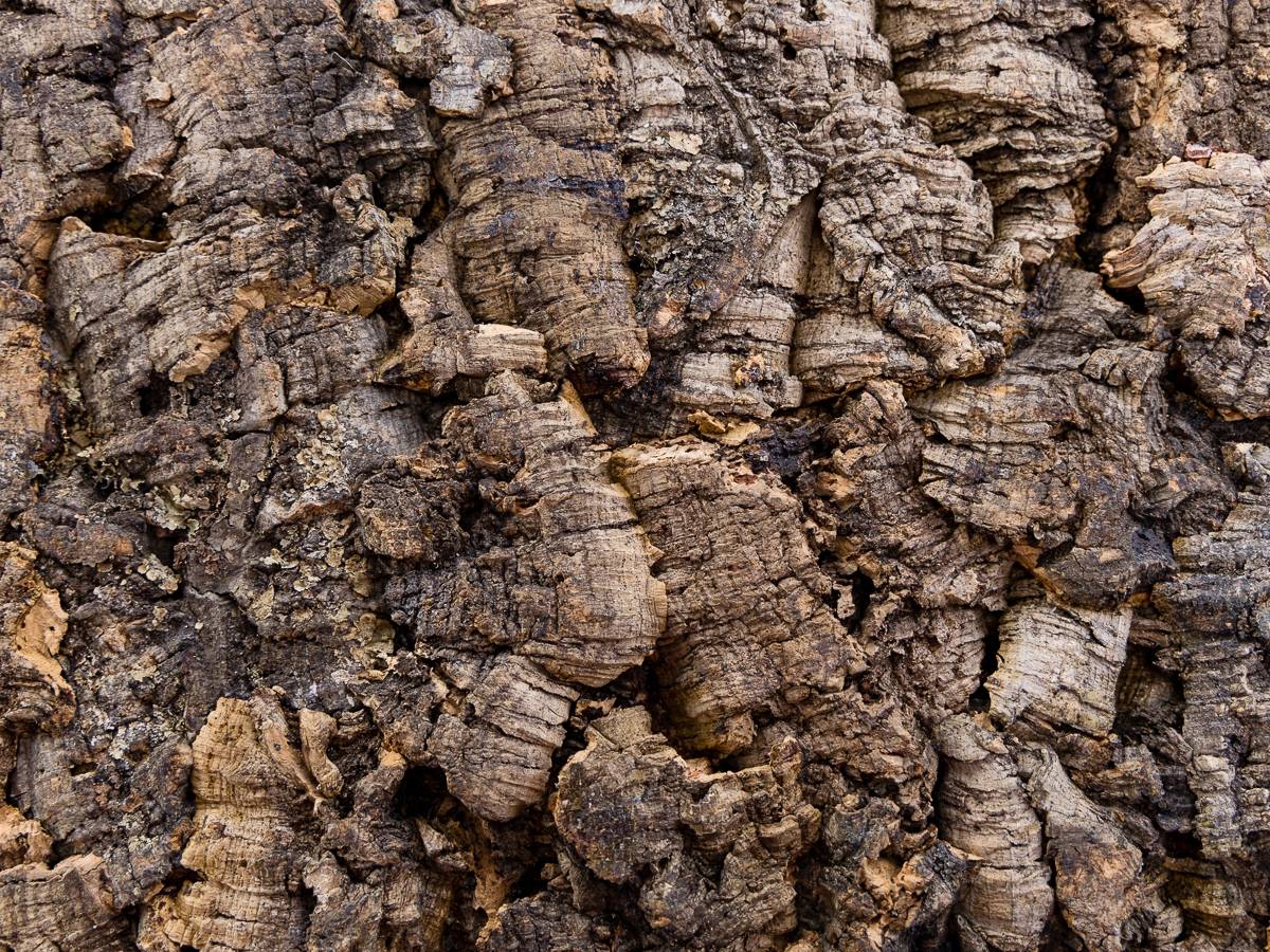 Josh's Frogs Natural Virgin Cork Sheet (18x24 inch)