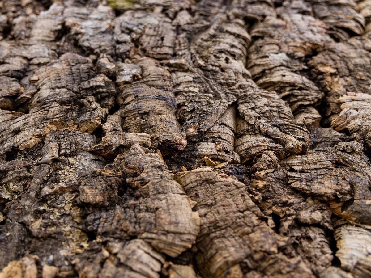 Josh's Frogs Natural Virgin Cork Sheet (18x24 inch)