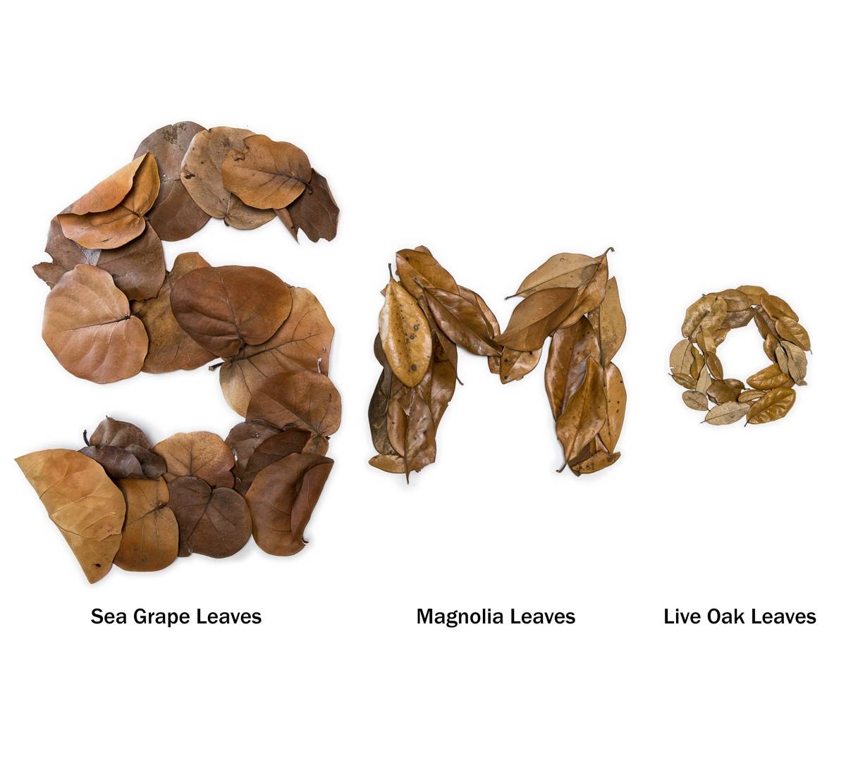 BULK Magnolia Leaf Litter (~40 gallons)