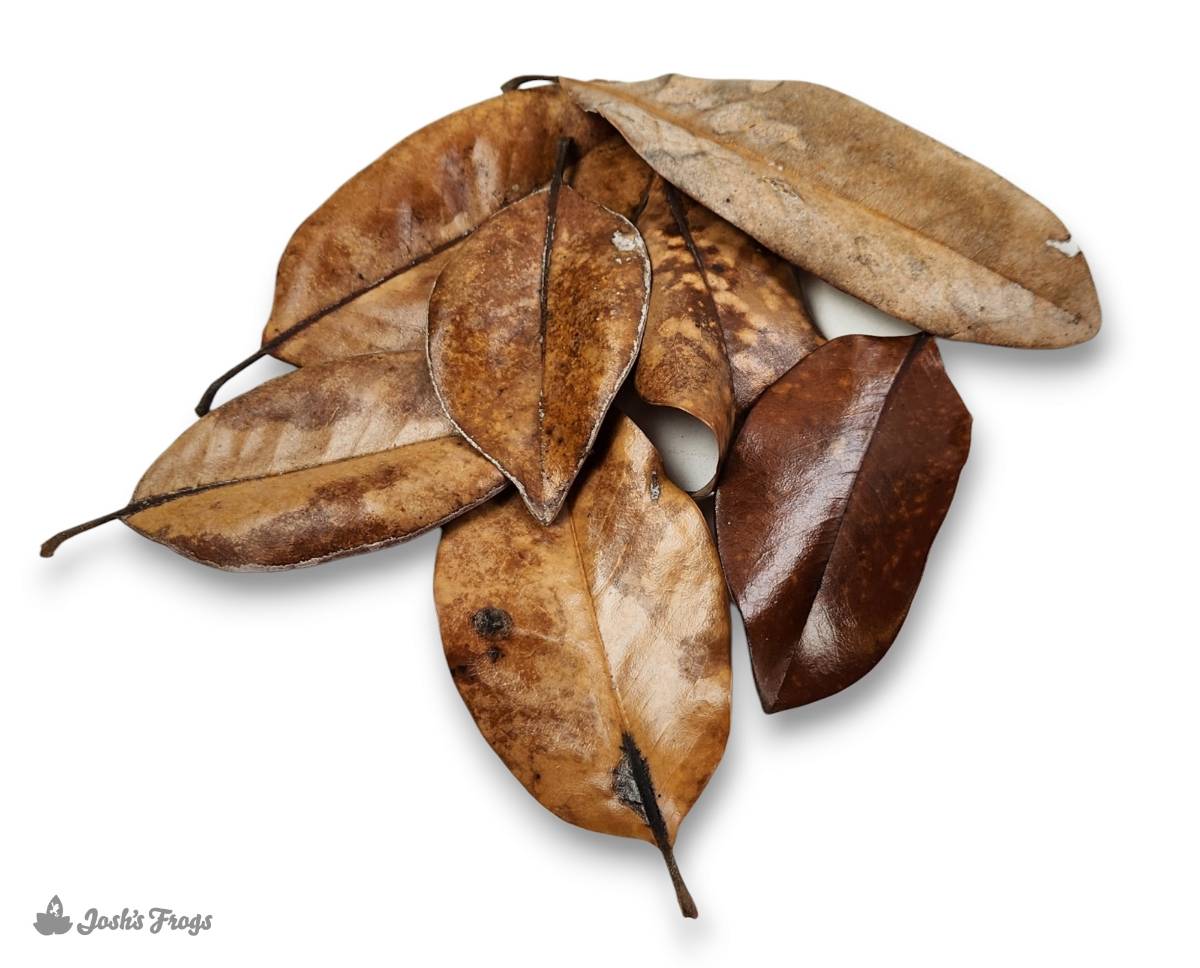 BULK Magnolia Leaf Litter (~40 gallons)