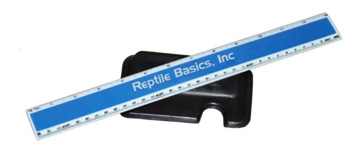 Mini Hide Box (Reptile Basics)
