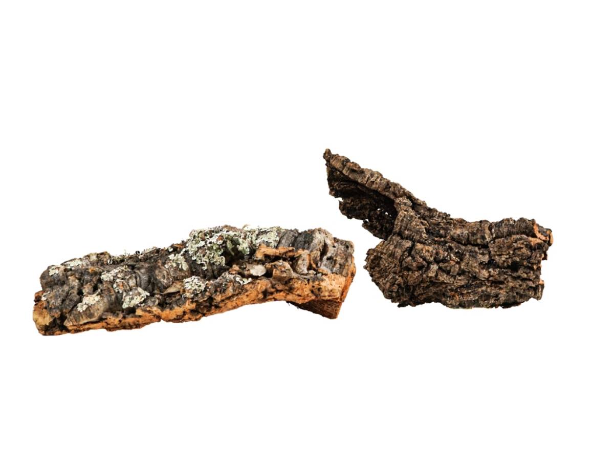 Josh's Frogs MIXED Cork Box - Flats & Tubes (10 lbs)