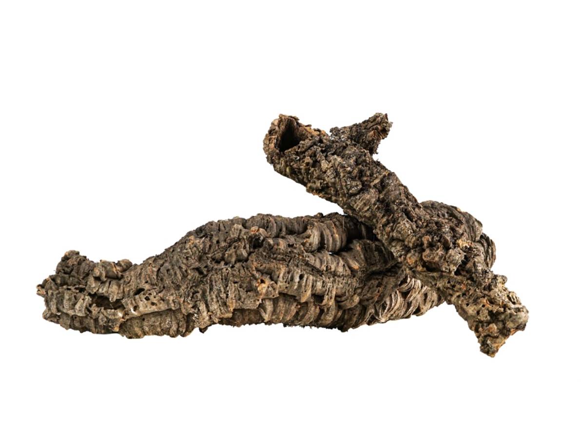 Josh's Frogs MIXED Cork Box - Flats & Tubes (10 lbs)