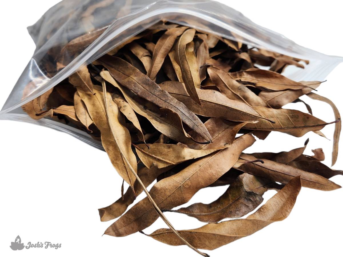 Willow Oak Leaf Litter (1 Gallon)