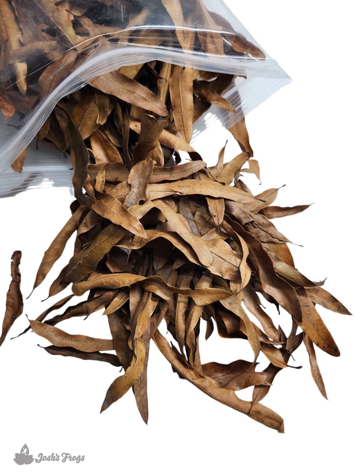 Willow Oak Leaf Litter (1 Gallon)