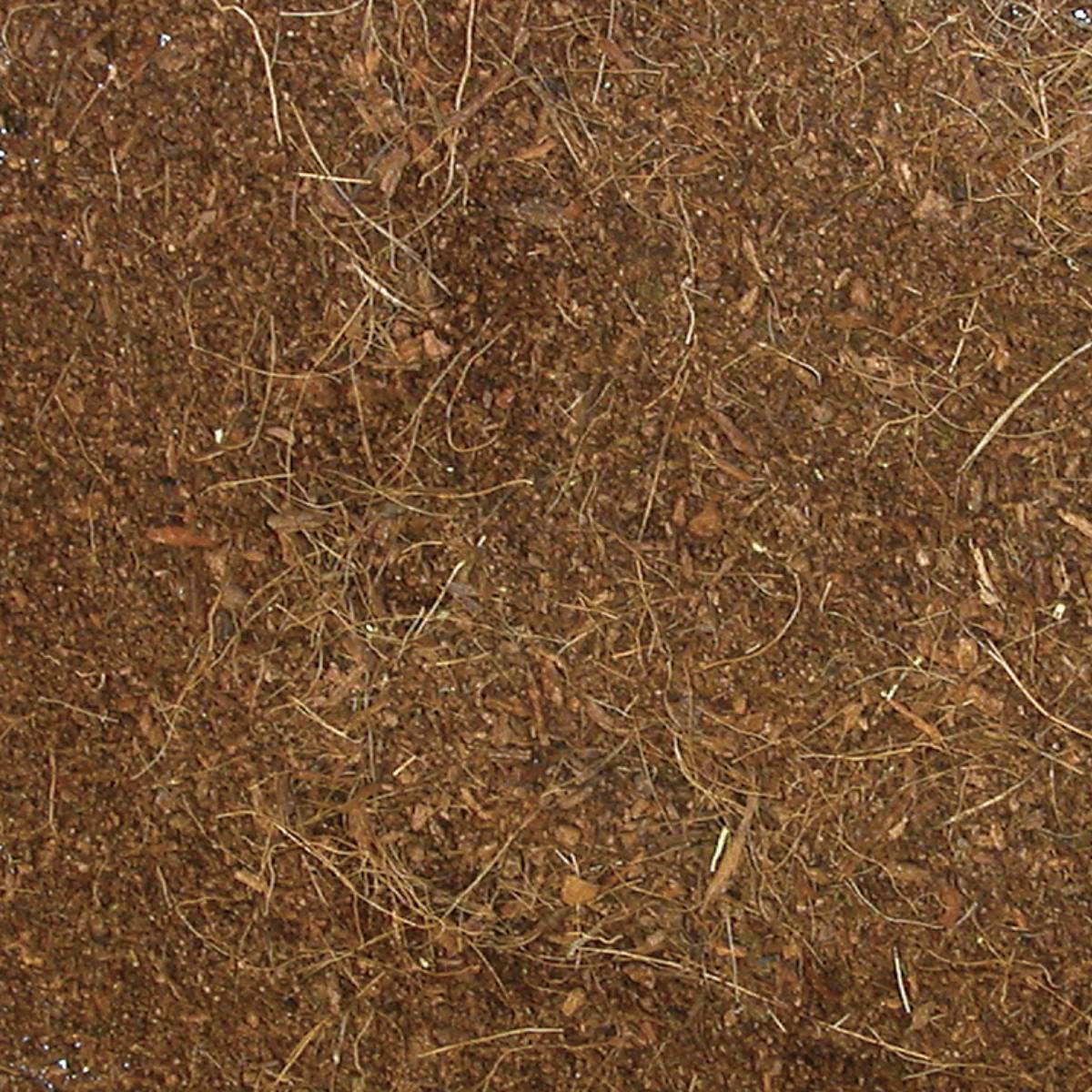 Zoo Med Eco Earth Loose Coconut Fiber Substrate (24 dry quarts, 0.8 cu ft, 23 liters)