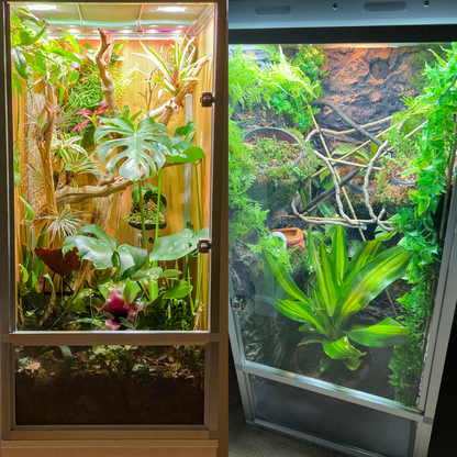 2'x2'x4' Meridian PVC Reptile Enclosure