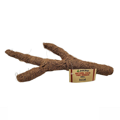 Josh's Frogs Natural Coco Tree Branch (Small)