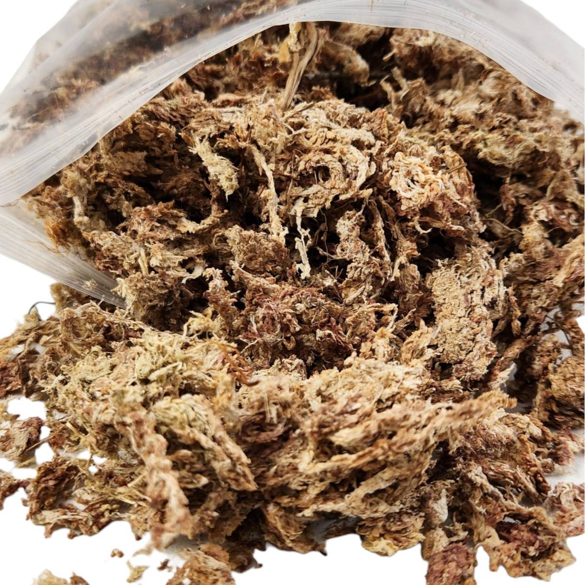 Josh's Frogs Chilean Sphagnum Moss (100 g bag)