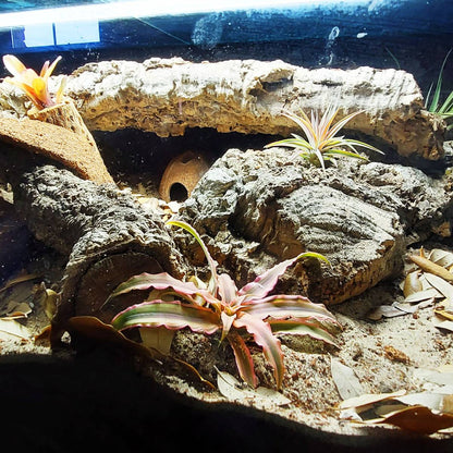 Josh's Frogs BioBedding HERMIT CRAB Bioactive Substrate (10 quarts)