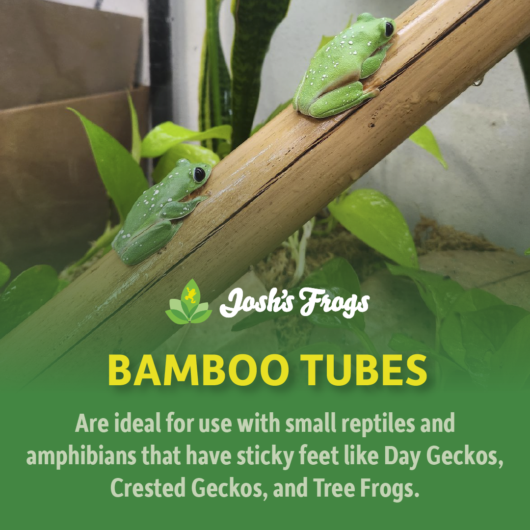 Josh's Frogs Bamboo Tube (2 ft.)