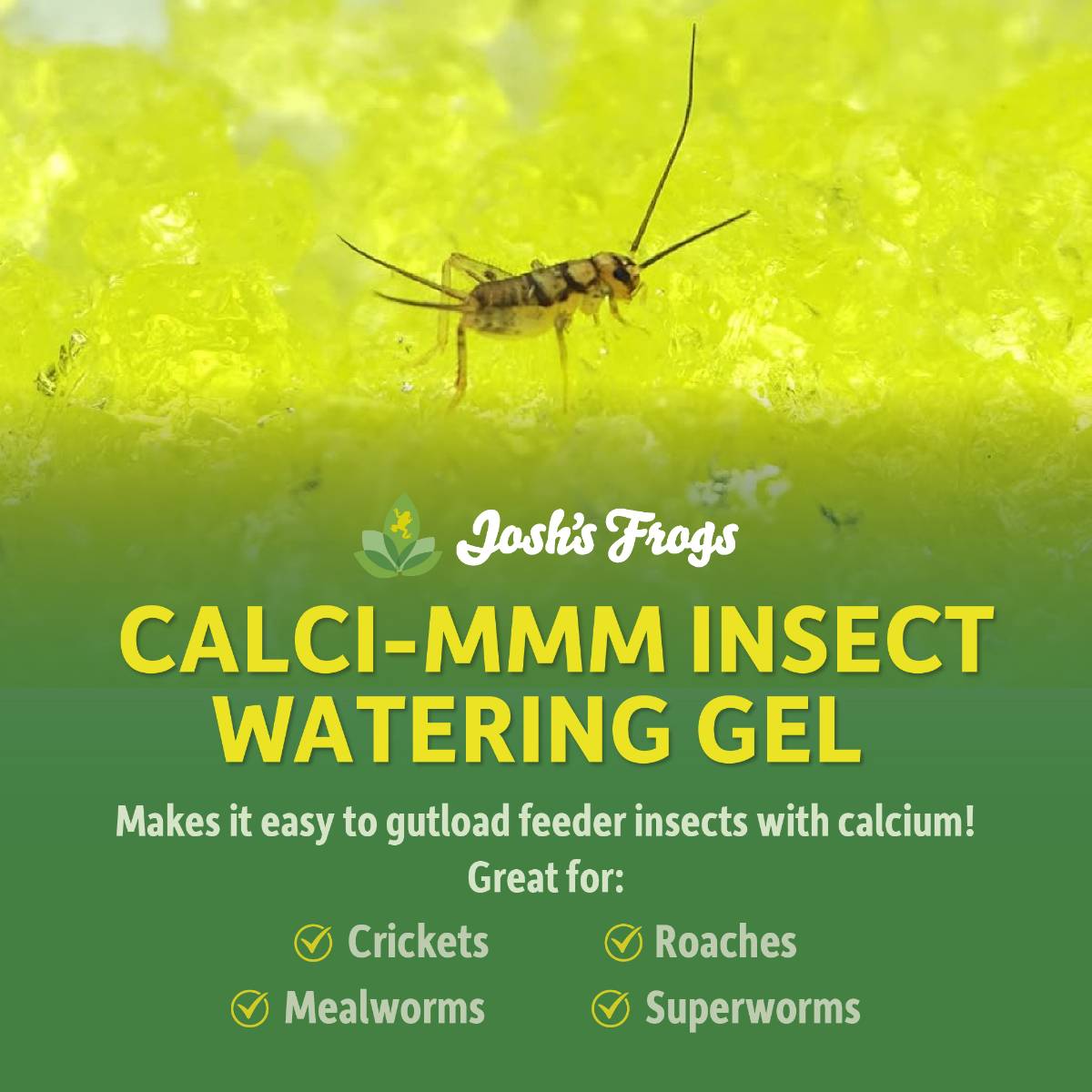 Josh's Frogs Calci-mMm Insect Watering Gel GUTLOAD with Calcium (16 oz.)