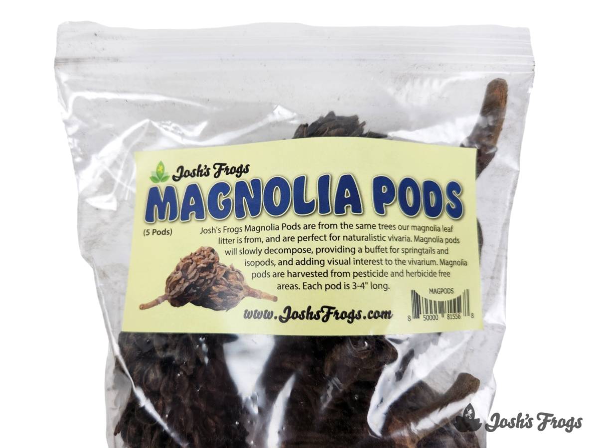 Magnolia Pods (5 Pods) – Happydragons