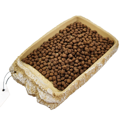 Josh's Frogs Stone Food Dish with Ramp (Medium)