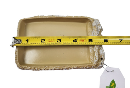 Josh's Frogs Stone Food Dish with Ramp (Medium)
