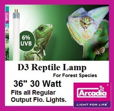 Arcadia D3 6% UVB T8 Bulb - 36"