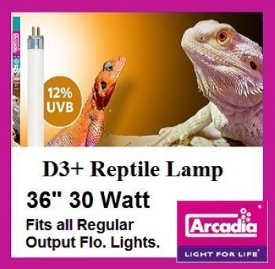 Arcadia D3+ 12% UVB T8 Bulb - 36"