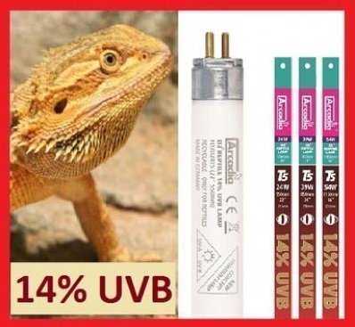 Arcadia 14% UVB T5 Bulb - 22"