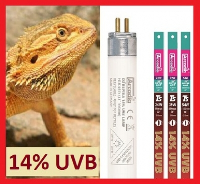 Arcadia D3+ Dragon 14% UVB T5 Bulb - 34"