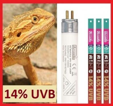 Arcadia D3+ Dragon 14% UVB T5 Bulb - 46"