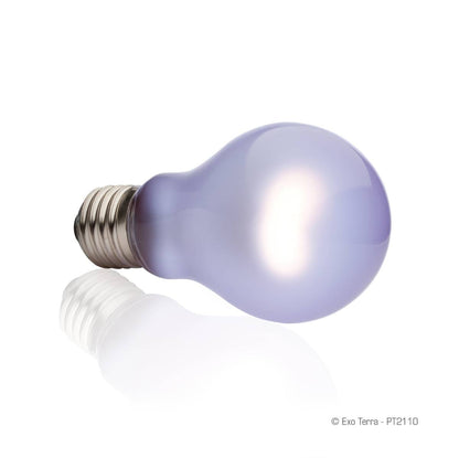 Exo Terra Daytime Heat Lamp (60 Watt)