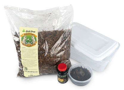Isopod Culture Kit