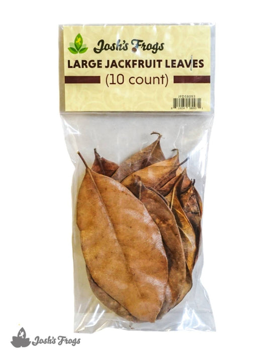 Josh's Frogs Large Jackfruit Leaf Litter (10 leaves)