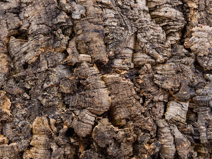 Josh's Frogs Natural Virgin Cork Sheet (18x24 inch)