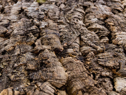 Josh's Frogs Natural Virgin Cork Sheet (18x24 inch)