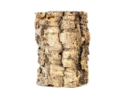 Josh's Frogs Virgin Cork Planter (8 inch tall)